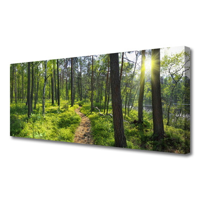 Canvas doek foto Bos weg lane nature