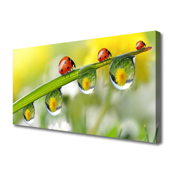 Canvas doek foto Leaf lieveheersbeestjes nature