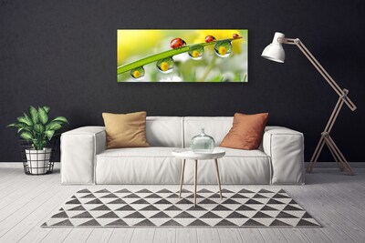 Canvas doek foto Leaf lieveheersbeestjes nature