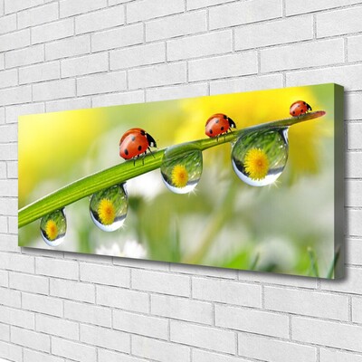 Canvas doek foto Leaf lieveheersbeestjes nature