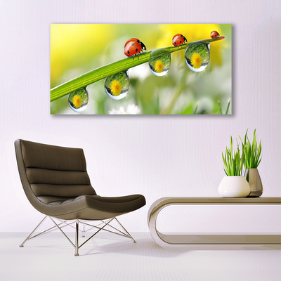 Canvas doek foto Leaf lieveheersbeestjes nature