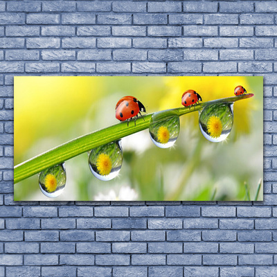 Canvas doek foto Leaf lieveheersbeestjes nature