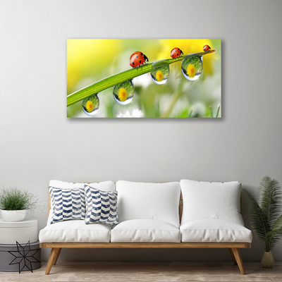 Canvas doek foto Leaf lieveheersbeestjes nature