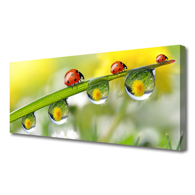 Canvas doek foto Leaf lieveheersbeestjes nature