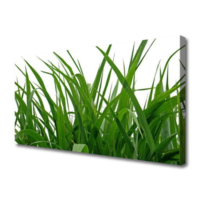 Canvas doek foto Grass nature plant