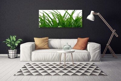 Canvas doek foto Grass nature plant