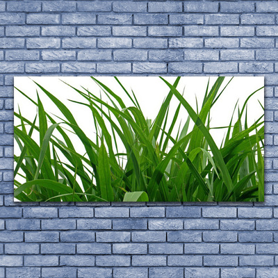 Canvas doek foto Grass nature plant