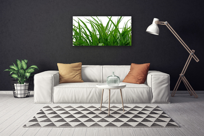 Canvas doek foto Grass nature plant