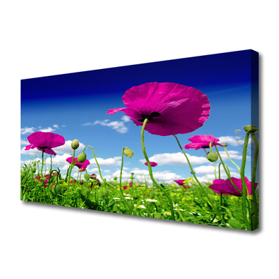 Canvas doek foto Sky weide bloemen nature