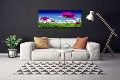 Canvas doek foto Sky weide bloemen nature