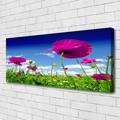 Canvas doek foto Sky weide bloemen nature