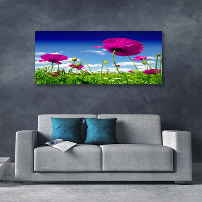 Canvas doek foto Sky weide bloemen nature