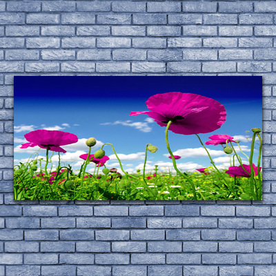 Canvas doek foto Sky weide bloemen nature