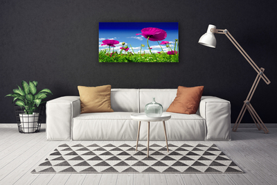 Canvas doek foto Sky weide bloemen nature