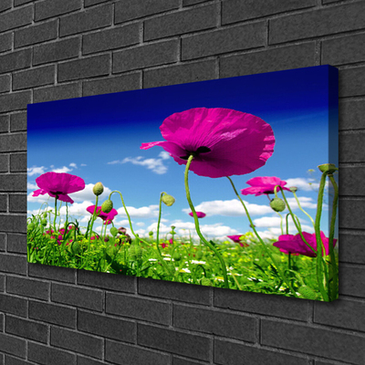 Canvas doek foto Sky weide bloemen nature