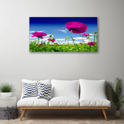 Canvas doek foto Sky weide bloemen nature