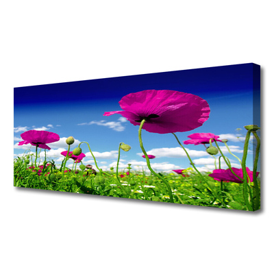 Canvas doek foto Sky weide bloemen nature