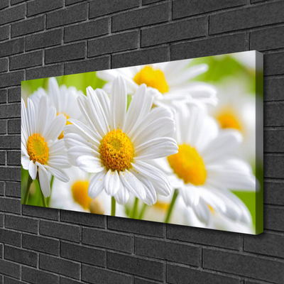 Canvas doek foto Nature madeliefjes fabriek