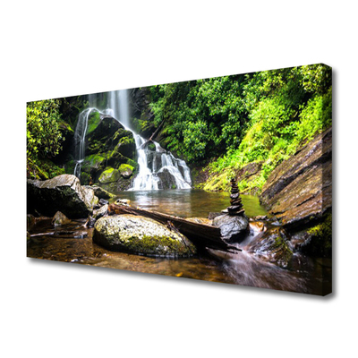 Canvas doek foto Bos stroom waterfall nature