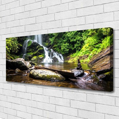 Canvas doek foto Bos stroom waterfall nature