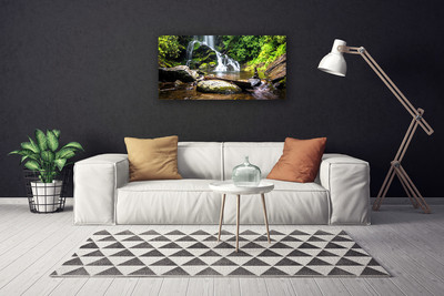 Canvas doek foto Bos stroom waterfall nature