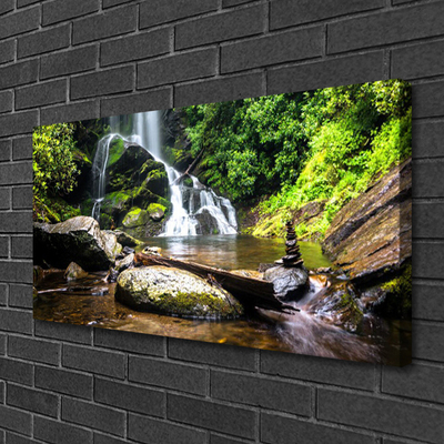 Canvas doek foto Bos stroom waterfall nature