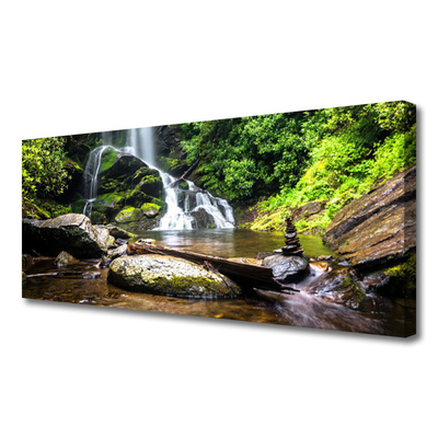 Canvas doek foto Bos stroom waterfall nature