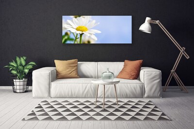 Canvas doek foto Daisy plant nature