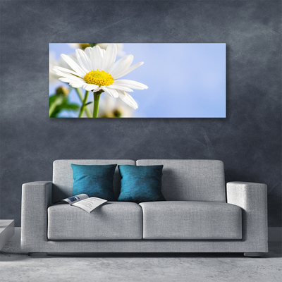 Canvas doek foto Daisy plant nature