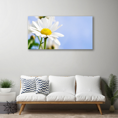 Canvas doek foto Daisy plant nature