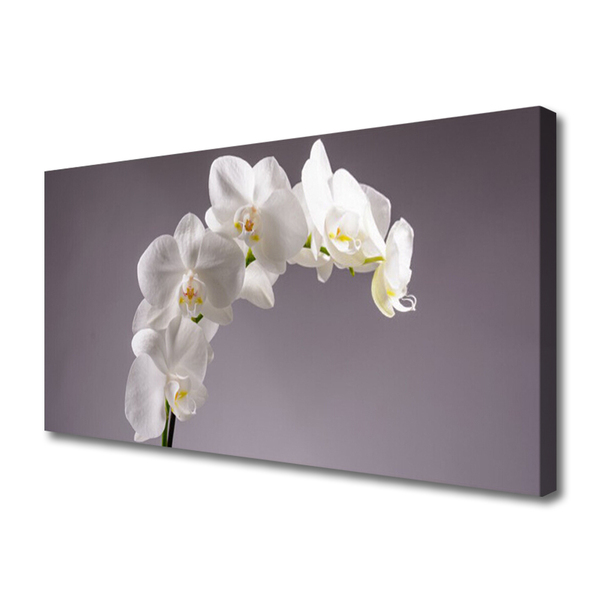 Canvas doek foto Bloemen plant nature