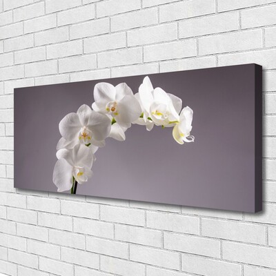 Canvas doek foto Bloemen plant nature