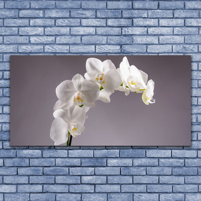 Canvas doek foto Bloemen plant nature