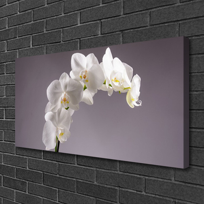 Canvas doek foto Bloemen plant nature