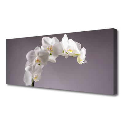 Canvas doek foto Bloemen plant nature