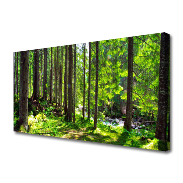 Canvas doek foto Natuur plant bosbomen