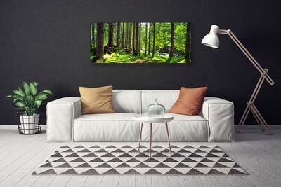 Canvas doek foto Natuur plant bosbomen