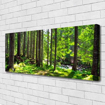 Canvas doek foto Natuur plant bosbomen