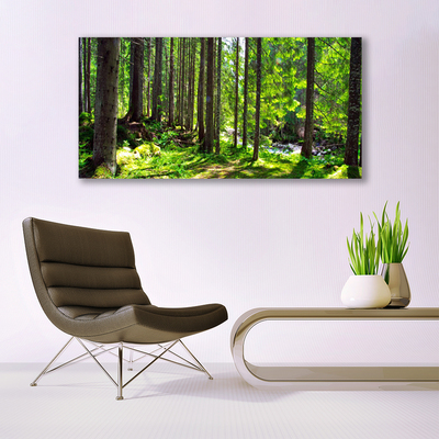 Canvas doek foto Natuur plant bosbomen