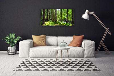 Canvas doek foto Natuur plant bosbomen