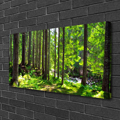 Canvas doek foto Natuur plant bosbomen