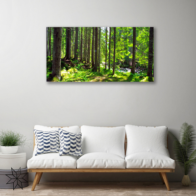 Canvas doek foto Natuur plant bosbomen