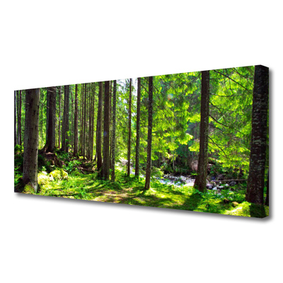 Canvas doek foto Natuur plant bosbomen