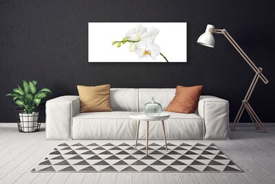 Canvas doek foto Orchideebloemen nature