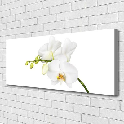 Canvas doek foto Orchideebloemen nature