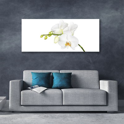 Canvas doek foto Orchideebloemen nature