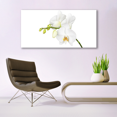 Canvas doek foto Orchideebloemen nature