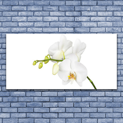 Canvas doek foto Orchideebloemen nature