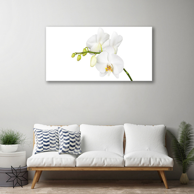 Canvas doek foto Orchideebloemen nature