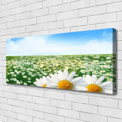 Canvas doek foto Daisy meadow flowers field